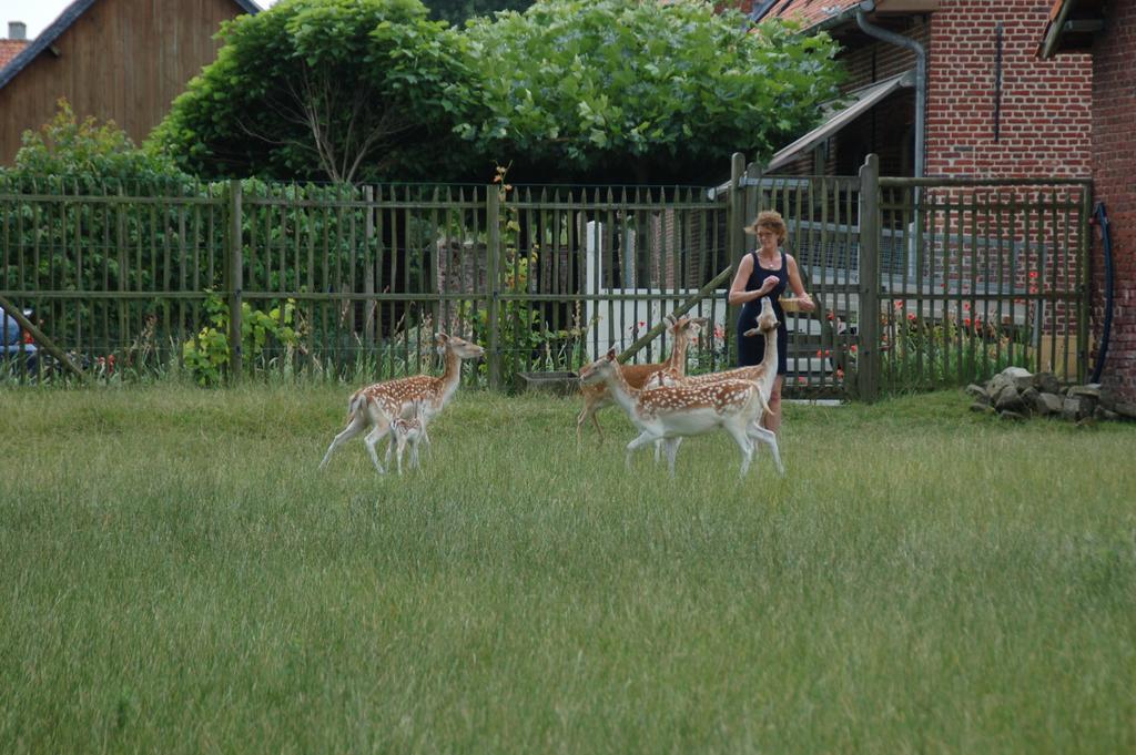 B&B De Rentmeesterhoeve Reningelst Exteriör bild